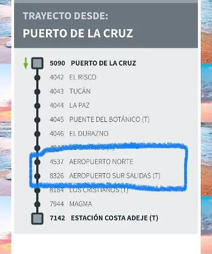 Loft Vistas Playa Jardin * 拉克鲁斯